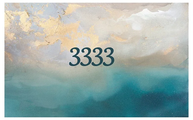 3333_1.webp