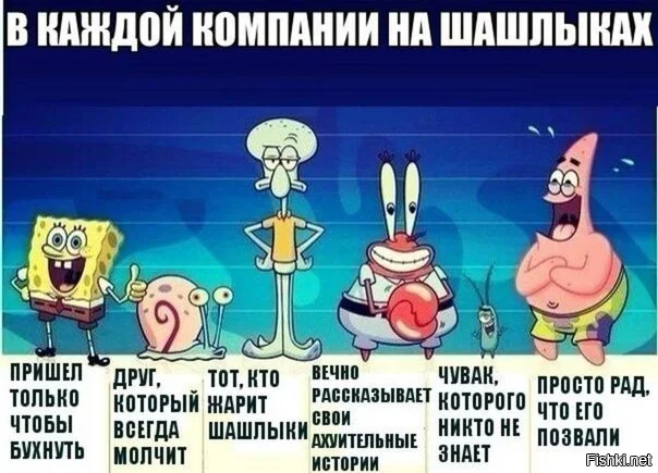 33d2dd55f5fbd478259561ec717214a6 (1).webp