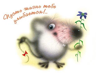 3442764.webp
