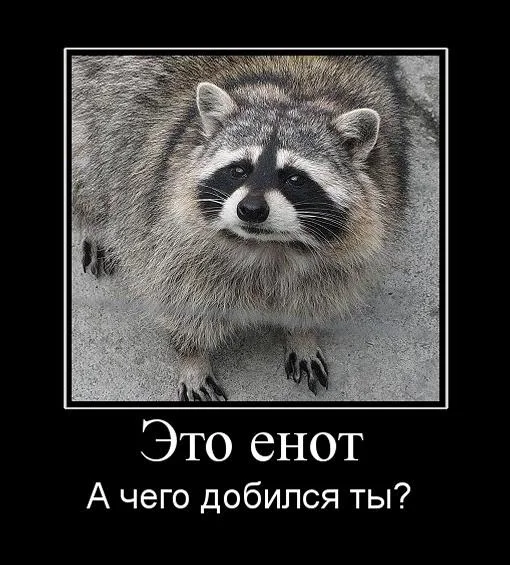 3454565757.webp