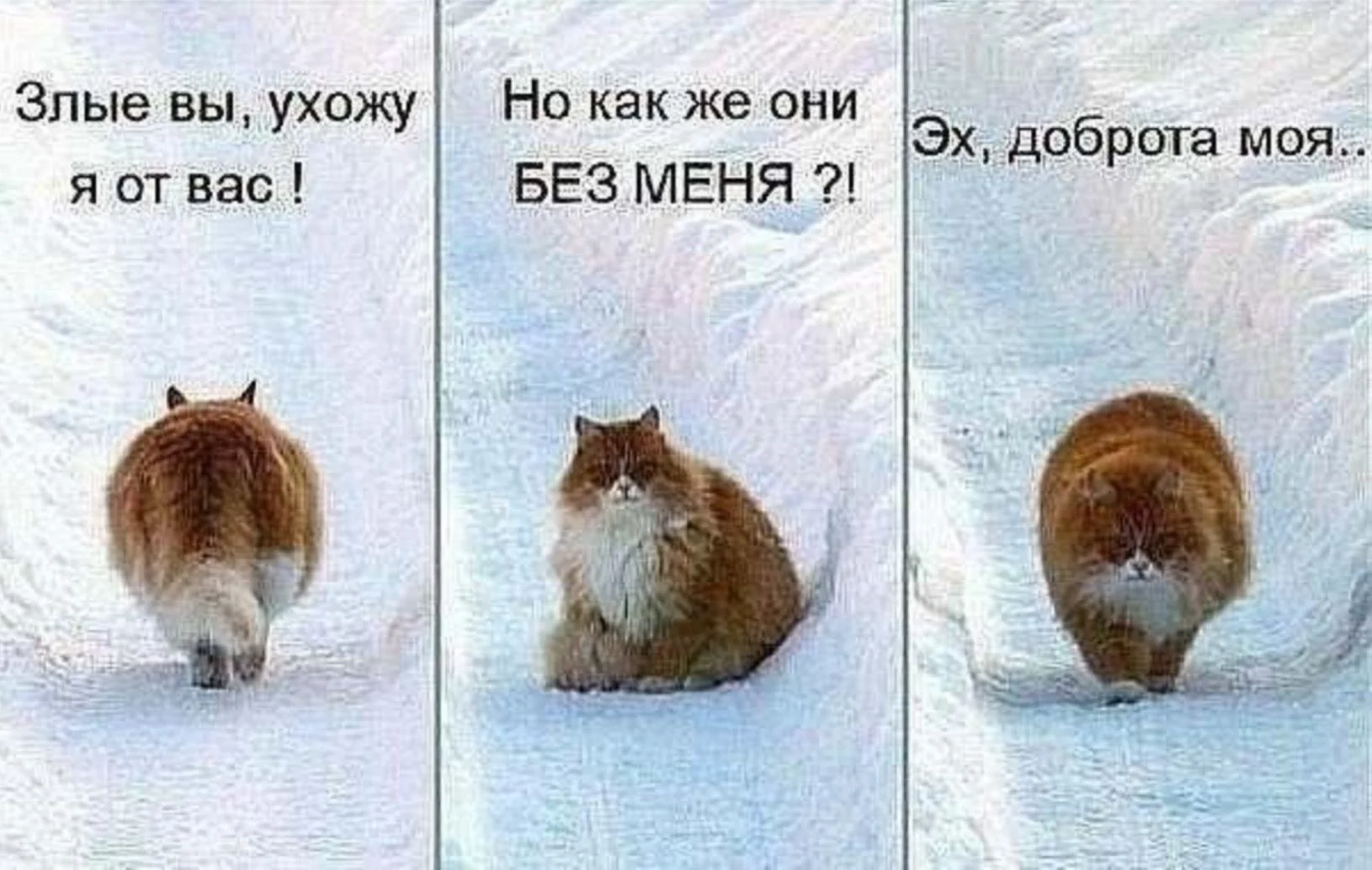 34604aa8ccf6cf0f7567ee1c25fd0f69.webp