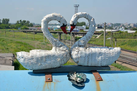 34784998-funny-swan-at-barnaul-city.jpg