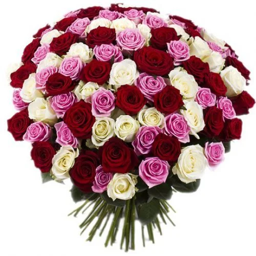349.webp