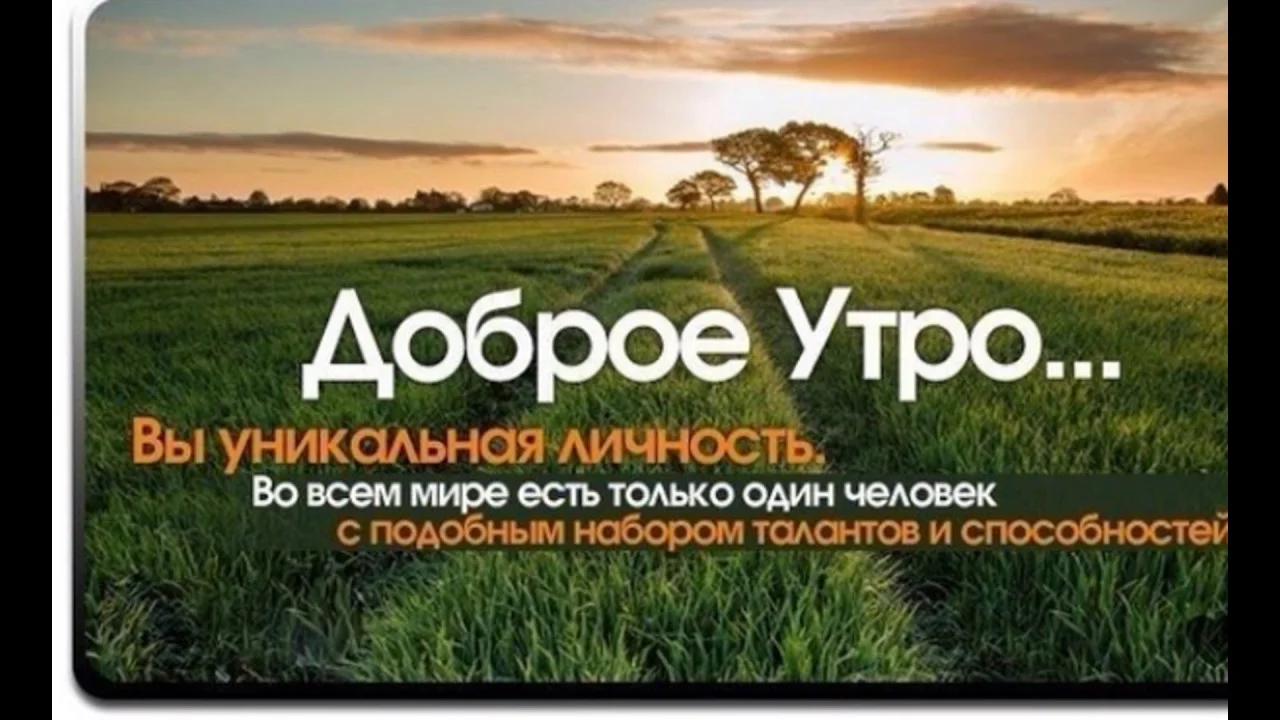 35-бакарди.webp
