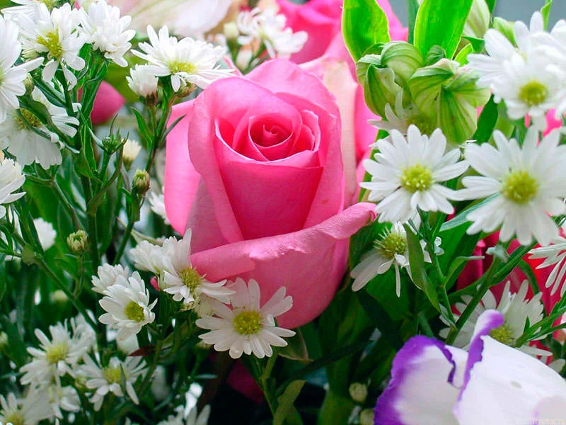 35.webp