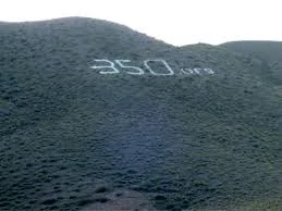 350.webp