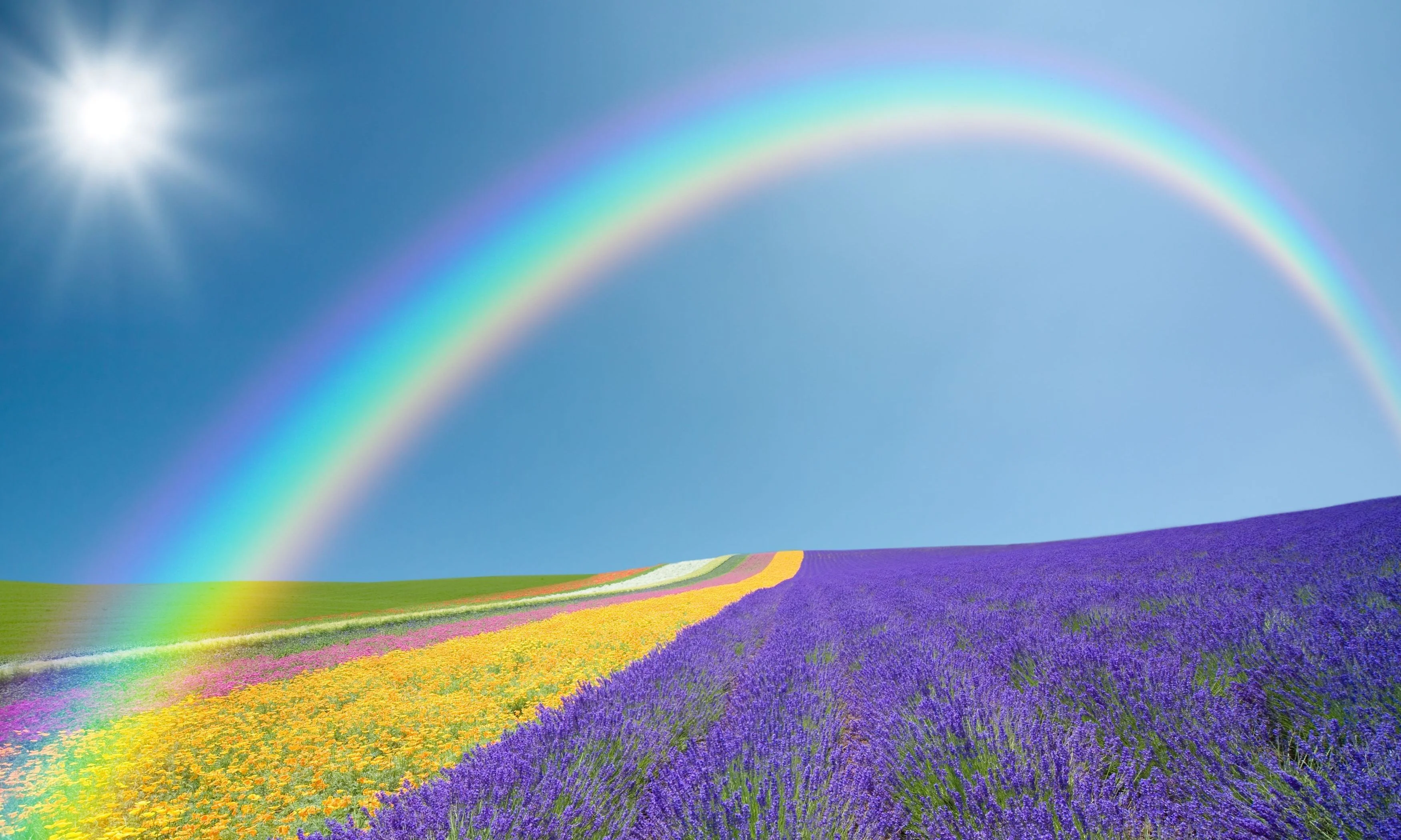 3500x2100-px-field-fields-flowers-green-landscape-nature-purple-rainbow-sky-Sun-yellow-1744925.webp