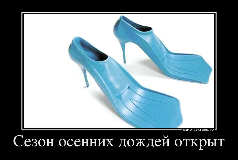 35387362_sezon-osennih-dozhdej-otkryit.webp
