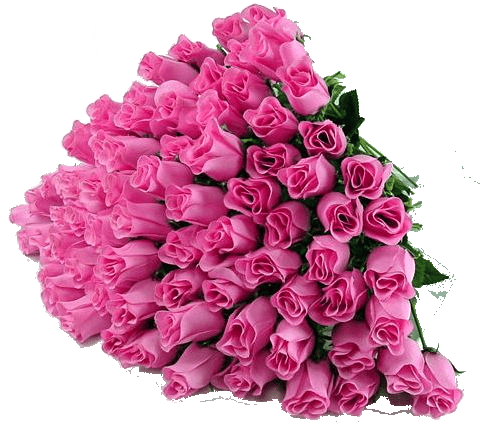 35396230_34894020_1226056073_16129215_bouquetrose.png