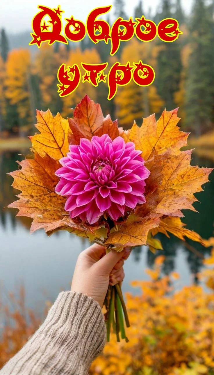 35970.webp