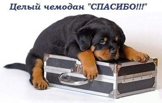 359808_190246.webp
