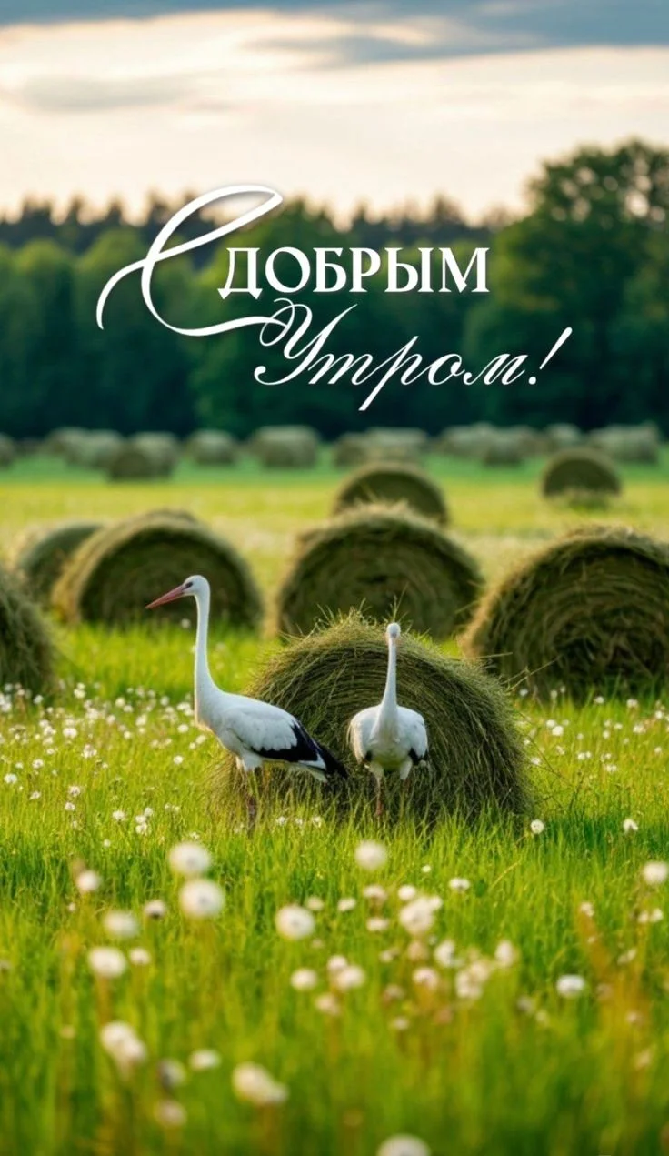 35b58f4b5cbcd7a9f7c09a941d132916.webp
