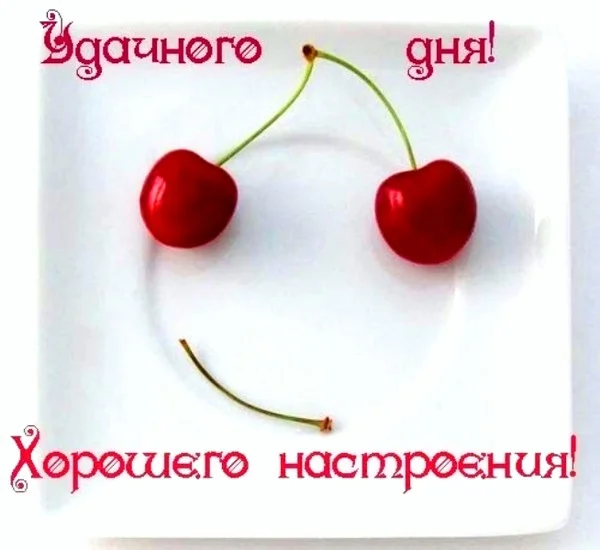 35o763s93cb6fbs0o9a717o8adabf4dl.webp
