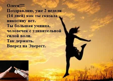 35sovetov_zo.webp