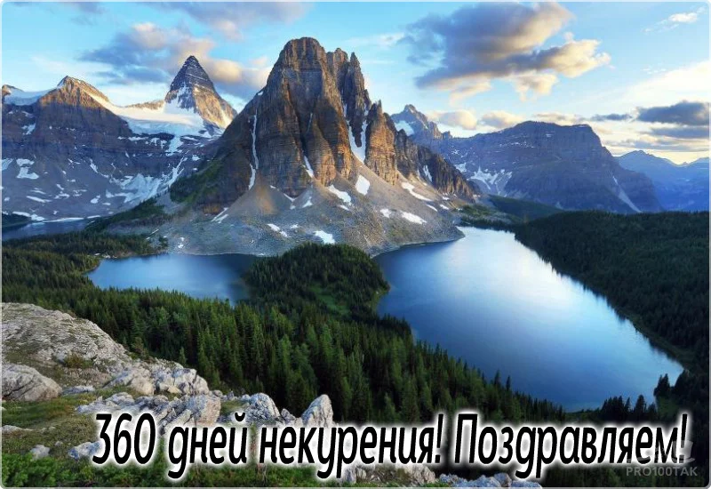 360 поздравляем.webp