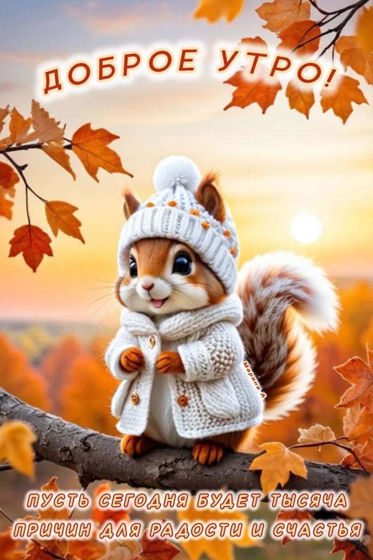 36166.webp