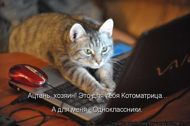 363100.webp