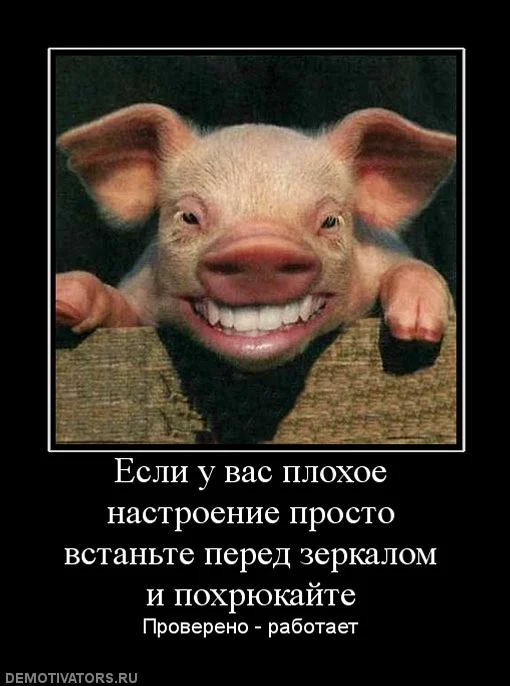 363310_esli-u-vas-plohoe-nastroenie-prosto-vstante-pered-zerkalom-i-pohryukajte.webp