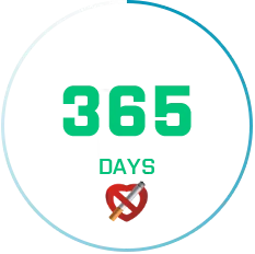 365-days.webp