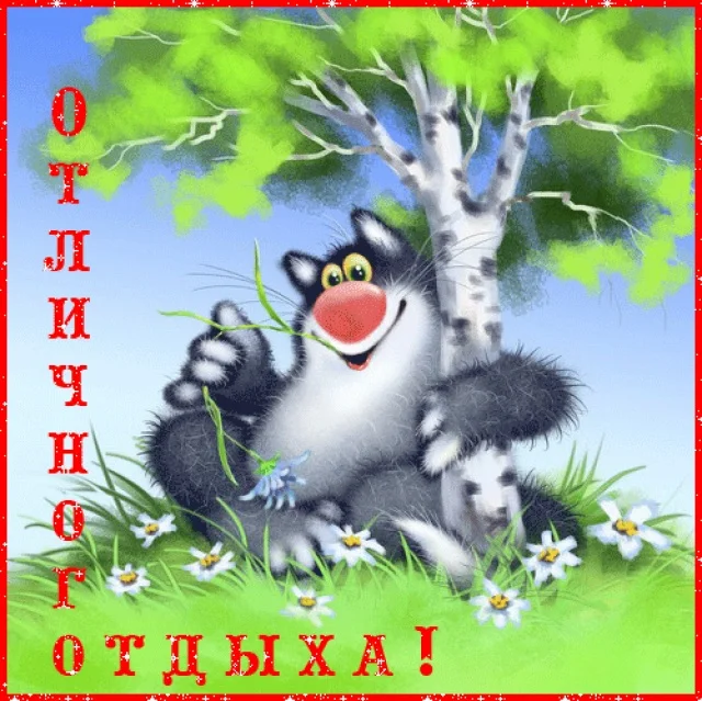 3657995.webp