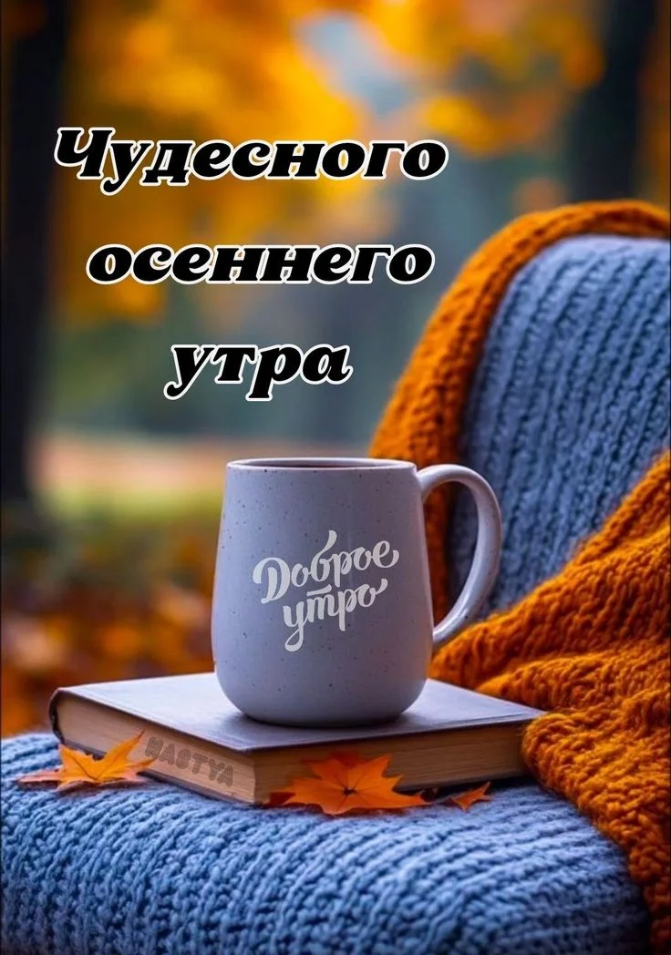 36611.webp