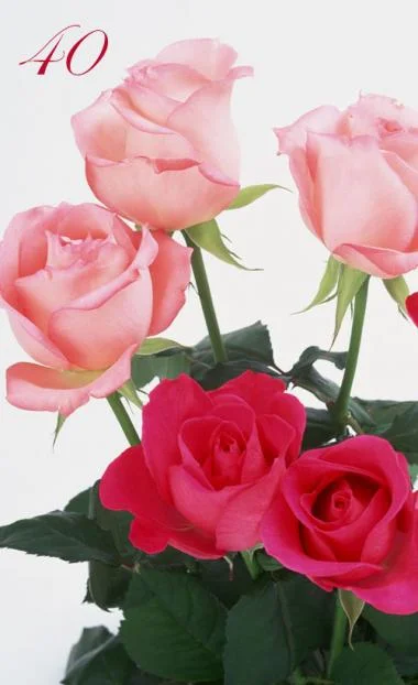 369.webp