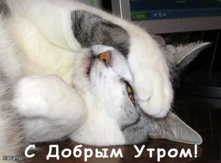 373535.webp