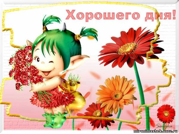 373922397.webp