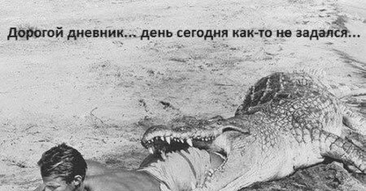 3756a6d2b5c616d336699098309e8230.webp