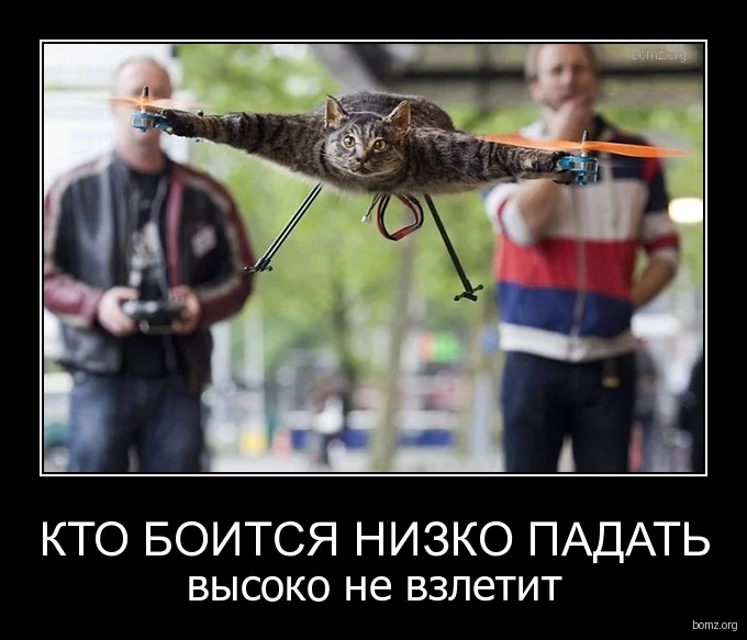 376525-2012.09.03-02.44.56-bomz.org-demotivator_kto_boitsya_nizko_padat_viysoko_ne_vzletit.webp