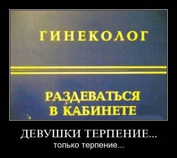 379779097188045998.webp