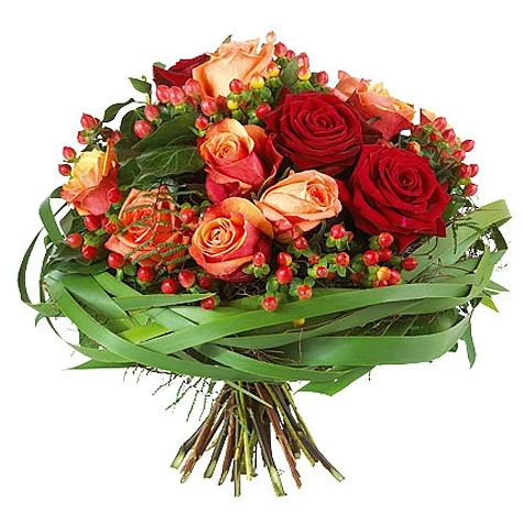 37cec872de945c971c3b9841d79d8040.webp