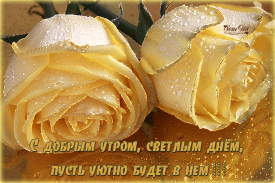 3800-darling27-dobroe-utro-024.gif