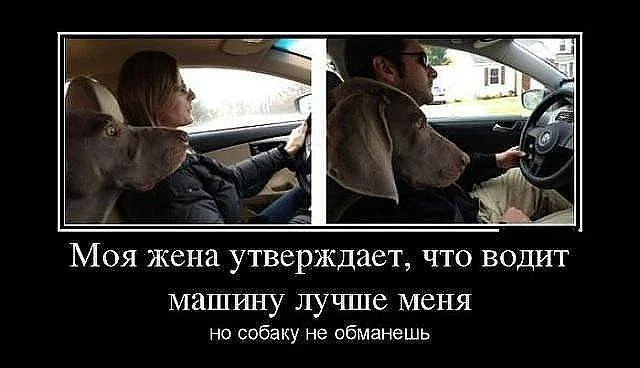 3835529.webp