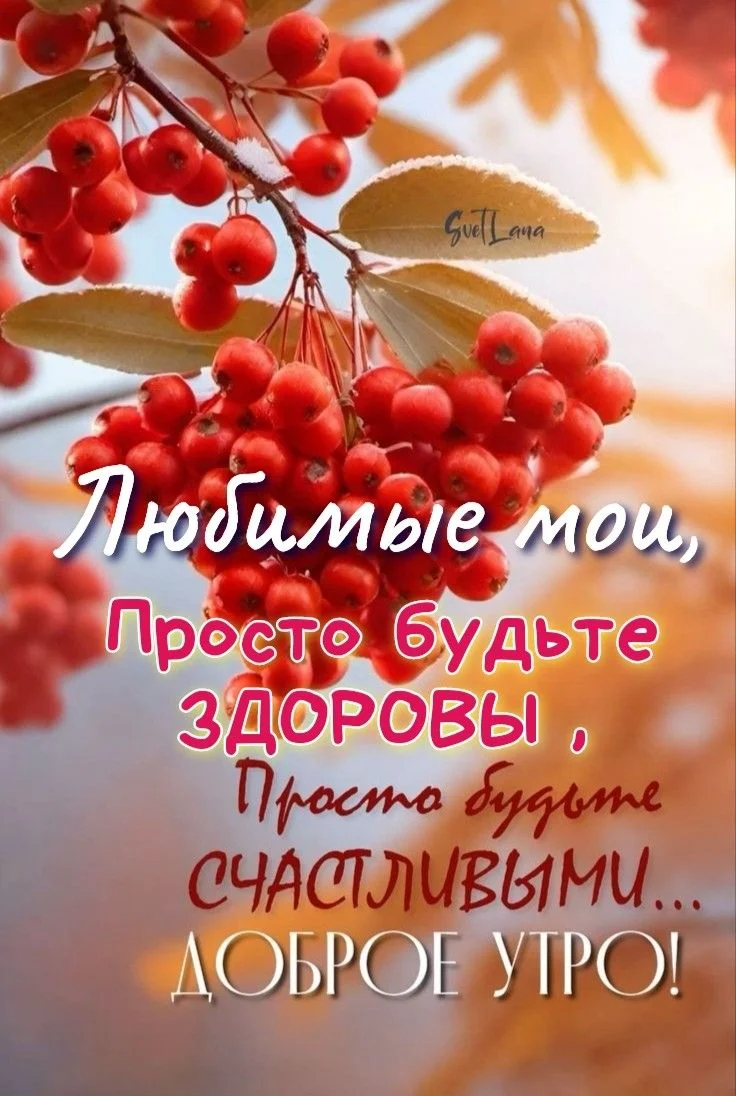 38bc0559da23533adb51c914590361c0 (1).webp