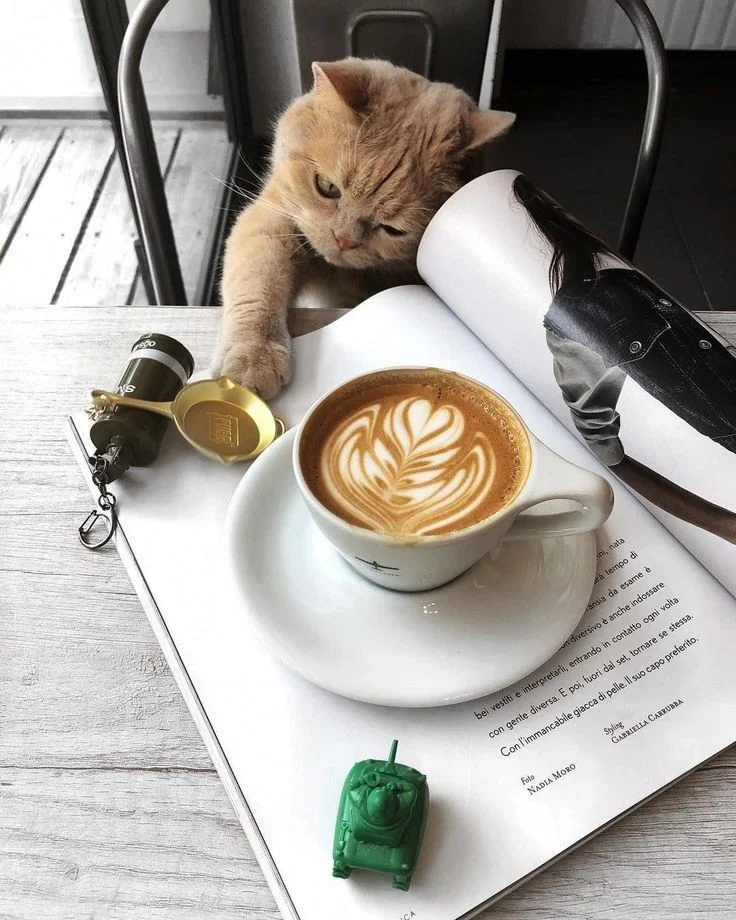 38bd67cefa8c334ed2682d5bdcc3741c (1).webp