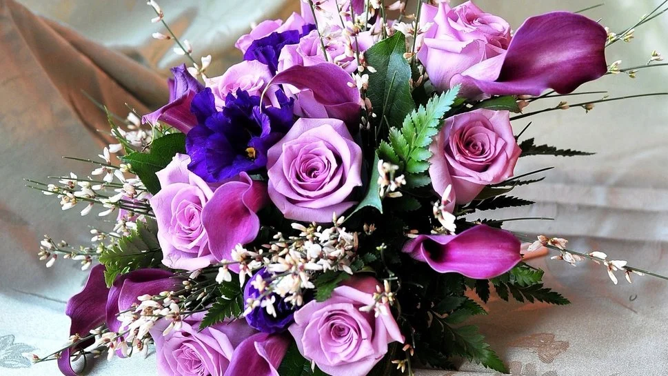 390531__purple-roses_p.webp
