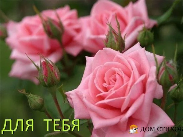 390947395469993344.webp