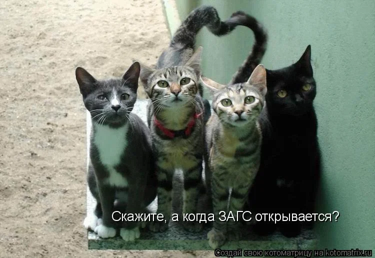 395616.webp