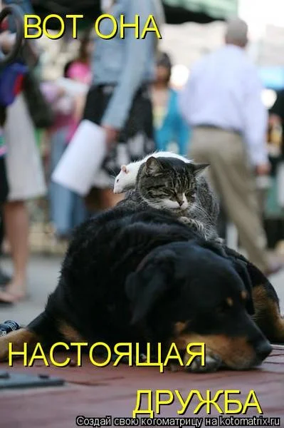 399175.webp