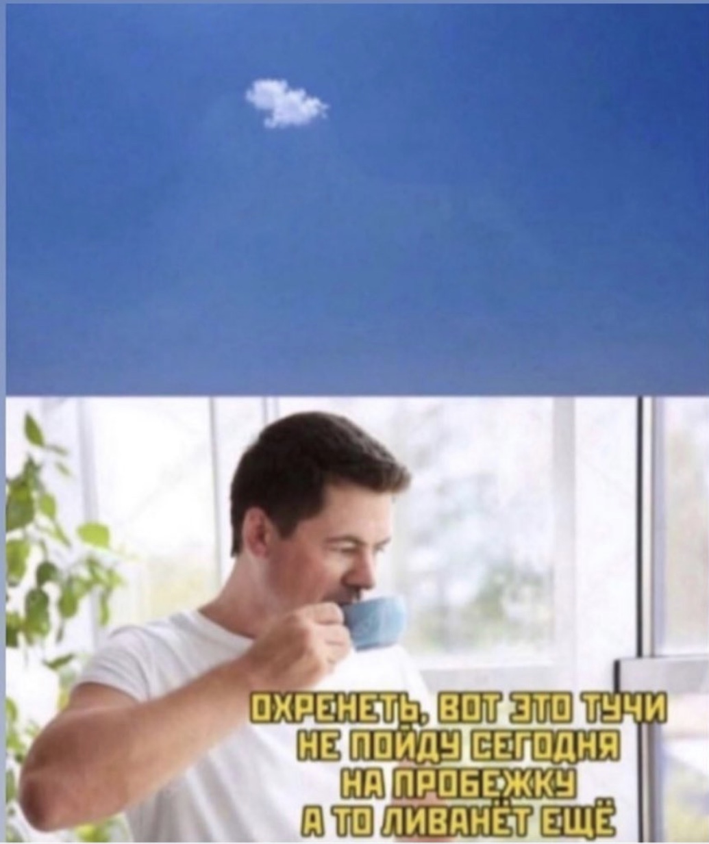 3B43ECE8-36D9-467B-A657-BE7287CF0872.jpeg