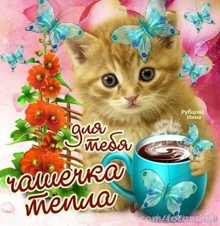 3c16ee1b87735d08c74880dec0337dba.webp