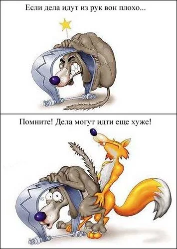 3c3c174b468d.webp