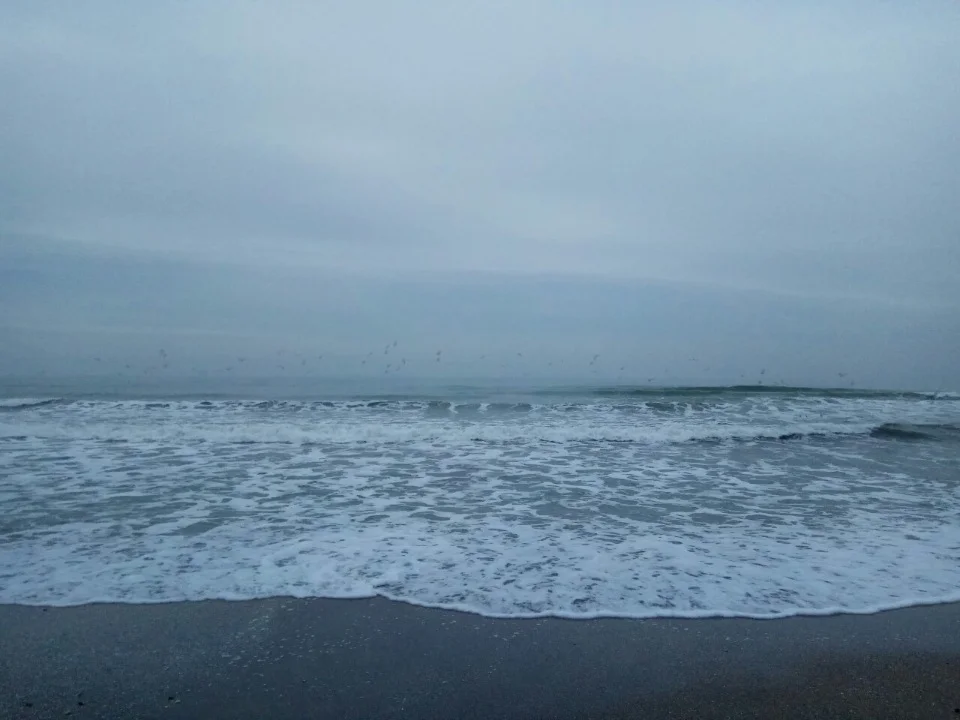 3ce94dd18834 (1).webp