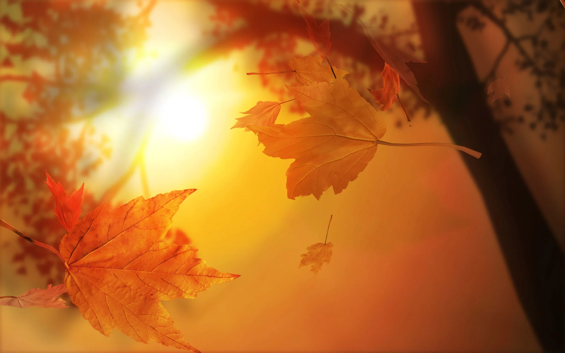 3d_autumn_leaves.webp