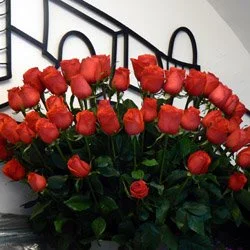 3e21db657055.webp