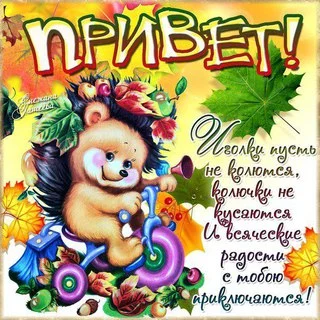 3f5c7f45b2658ac8ad5b30d336d5a264.webp