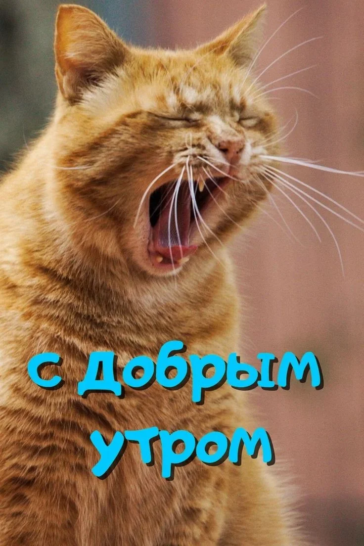 3f96bf1f14e42d197d8e2d003f4d86c8.webp