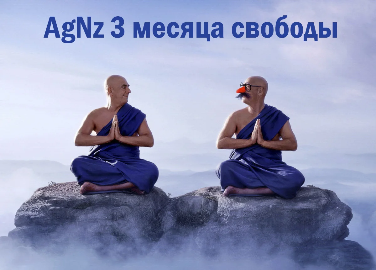 3z.webp