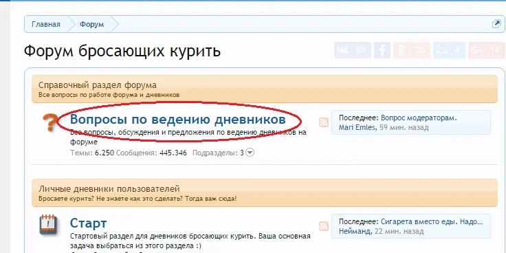 4.webp